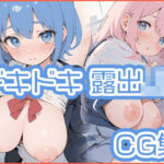 「JK」 【露出】ドキドキ露出制服JK CG集【長乳】 『同人』