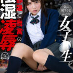 ＜JK＞ 【VR】女に耐性のない根暗なボクが気の弱そうな訳あり女子●生を汚部屋で無言の陰湿凌● 『高画質』