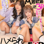 ＜JK＞ 【VR】ハメられ撮りVR 2 ミニスカビッチJ○に辱められながらイカされまくるM男歓喜逆3P 『高画質』