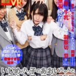 ＜JK＞ 【VR】いじめられっ子のあおいちゃんといじめられっ子の僕が無理矢理中出しさせられる悲しいSEX 枢木あおい 『高画質』