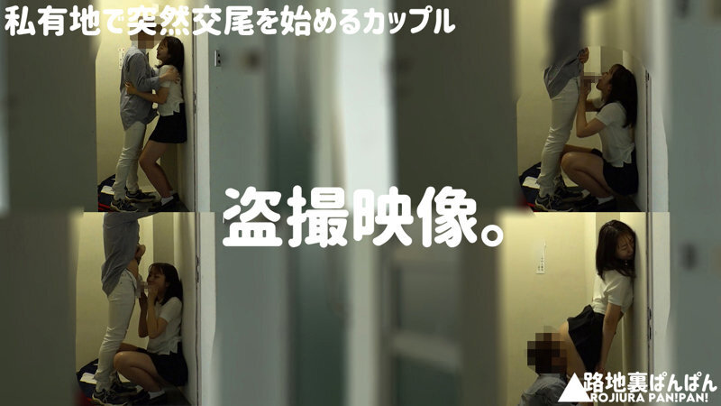 ＜JK＞ 【流出映像】変態カップル 公然SEX盗撮 250分 屋外変態...