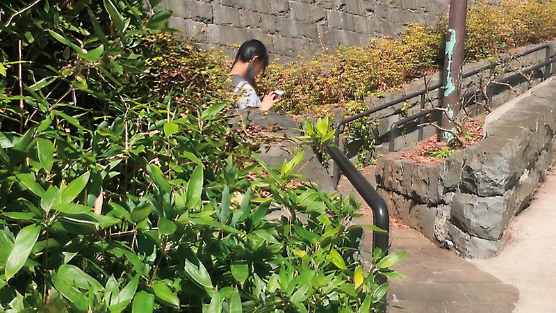 ＜JK＞ 初夏 お兄ちゃんにホテル監禁された48時間 北川ゆず 『高画...