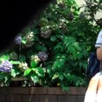 ＜JK＞ 可憐な女子校生が堕ちたSEXの記録 向井藍 『高画質』