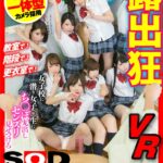 ＜JK＞ 【VR】露出狂VR 女子校に潜り女子○生にち○ぽ丸出しセンズリ見せつけろ！ ※新技術 人物一体型VRカメラ使用で超シンクロ率120％ 『高画質』