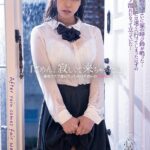 ＜JK＞ 「ごめん…寂しくて来ちゃった…」豪雨でズブ濡れだったのは片思いの幼馴染。 心実るな 『高画質』