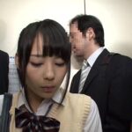 ＜JK＞ エレベータースカートぶっかけ痴● 満員のエレベーターでウブ学生にチ●ポを擦りつけまくりスカートぶっかけ痴●でパンツにシミが出来るほど感じさせろ！！ 『高画質』