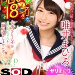 ＜JK＞ 【VR】『恋人は18才』唯井まひろ クリスマスパーティーで連続7発射！ 『高画質』