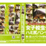 ＜JK＞ 女子校生ハミ尻パンチラ VOL.3 『高画質』