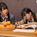 ＜JK＞ コタツの中はパンチラ天国！綿パンチラし放題！パンツが食い込んでマン筋も見えたりしてフル勃起！実家に遊びに来た姪っ子たちはみんな制服姿で… 『高画質』