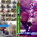 ＜JK＞ 悪戯パンチラ盗○！～カワイイ犬の前でしゃがむ女子○生の股間 Part.2 『高画質』