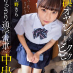 ＜JK＞ 痴●オヤジの太い指でビクビク体を震わせて敏感反応。ふたりっきり通学電車ゾッコン中出し 空野きら 『高画質』