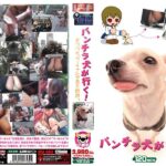 ＜JK＞ パンチラ犬が行く！ 『高画質』