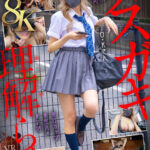 ＜JK＞ 【VR】【8K】メスガキ理解らせVR-塩対応でクソ生意気なP活J系をクスリ漬け生ハメで再教育- 『高画質』