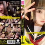 ＜JK＞ 【福袋】パコ撮り1033分 美少女ハメ撮り中出し円光 エロかわJ系13名17時間オール収録！【配信限定】 『高画質』
